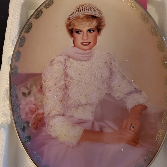 Princess Diana Collectible Plates - Picture 7 of 10
